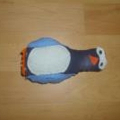 Shane Saunderson-ellis