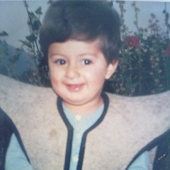 ramin mohammadi 1