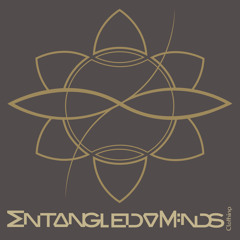 Entangled Minds