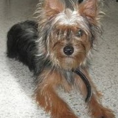 Luis Miguel Martinez 11