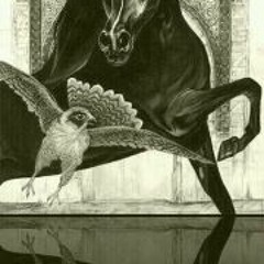 Bilal Adgim