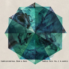 Samplecentral Drum & Bass Sample pack Vol.1 - Demo 1