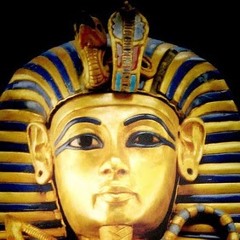 Marwan Mohamed 24