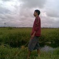 Amau Driandra Sonova