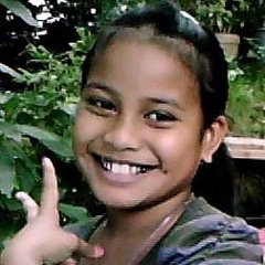 Shaminlou Palikkuntolenna