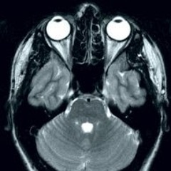 Stanislav Ivashkevich