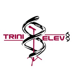 TriniElev8