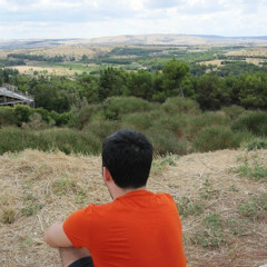 Vincenzo Mustich