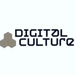 Digital Youth Culture