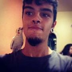 Gabriel Santos 217