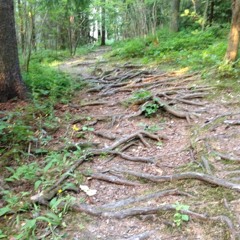 Zendegiro ba to mikham emad talebzadeh