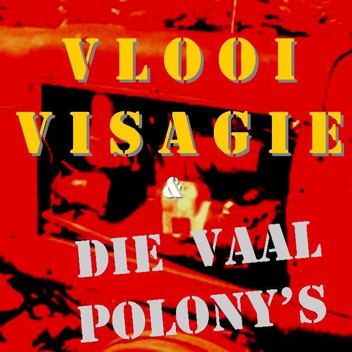 Vlooi Visagie & D.V.P. podcast artwork