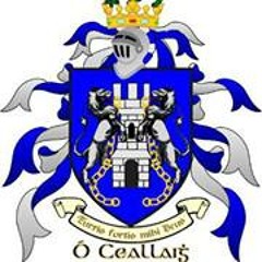 Mike Exec Taxi Kelly