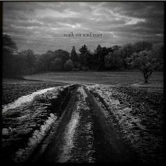 Walk On And Wait