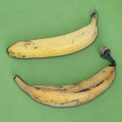 Sick Dicks of Brisbane