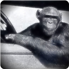 MonkeyDriver