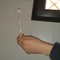 ignacioweed