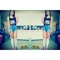 Yo Dira Armenta Cx