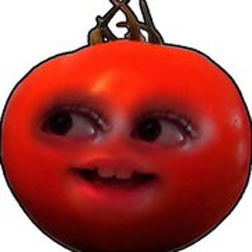 تلاوات خاشعة