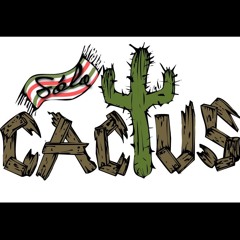 SóloCactus