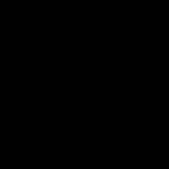 Shawandadaoneandonly