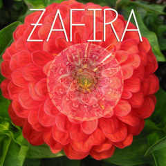 Zinnia Zafira