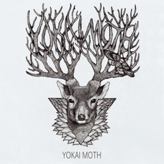 Yokai Moth