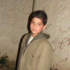 @li . {{21}} , {{756}}