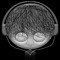 DJ Werdoban