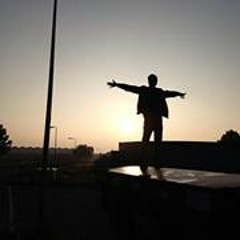 Daniel van Holsteijn