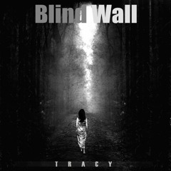 Blind_Wall