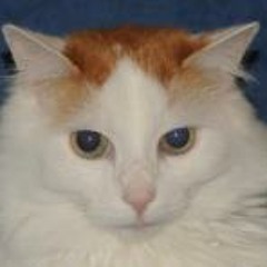 Lev Alexandrovich Neiman