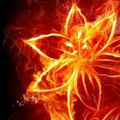 Lorena Cuello LAFLORDELFUEGO