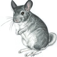Vanilla Chinchilla