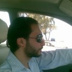 mohamed shetewy