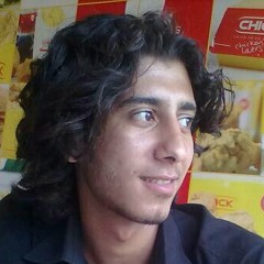 Mohamed Mohsen II