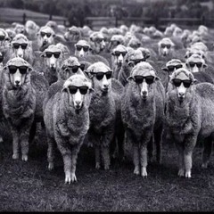 KuzularınSessizliği