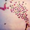 Shuruq M. Fouad