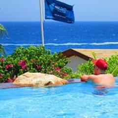 Josh Bartoniho Barton