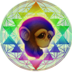 CryptoHexMonkey