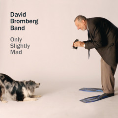 DavidBrombergBand