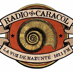 La Voz de Mazunte 101.1fm