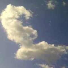 user1225529