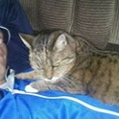 Schneider Christoph 2