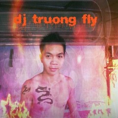 deejay truong fly
