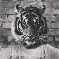 Elvijs Stepens