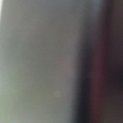 hoit