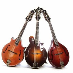 newyorkmandolinensemble