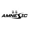 DJ Amnesic