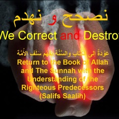 We Correct And Destroy